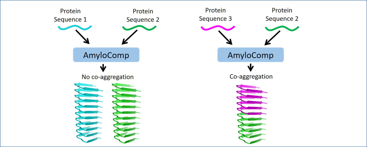 Graphical abstract © Journal of Molecular Biology 