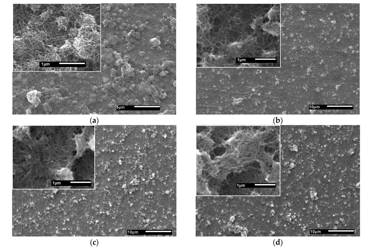 SEM images of the "multi-walled carbon nanotubes/Ti" surface layer (a) before and (b) after irradiation with He+ ions