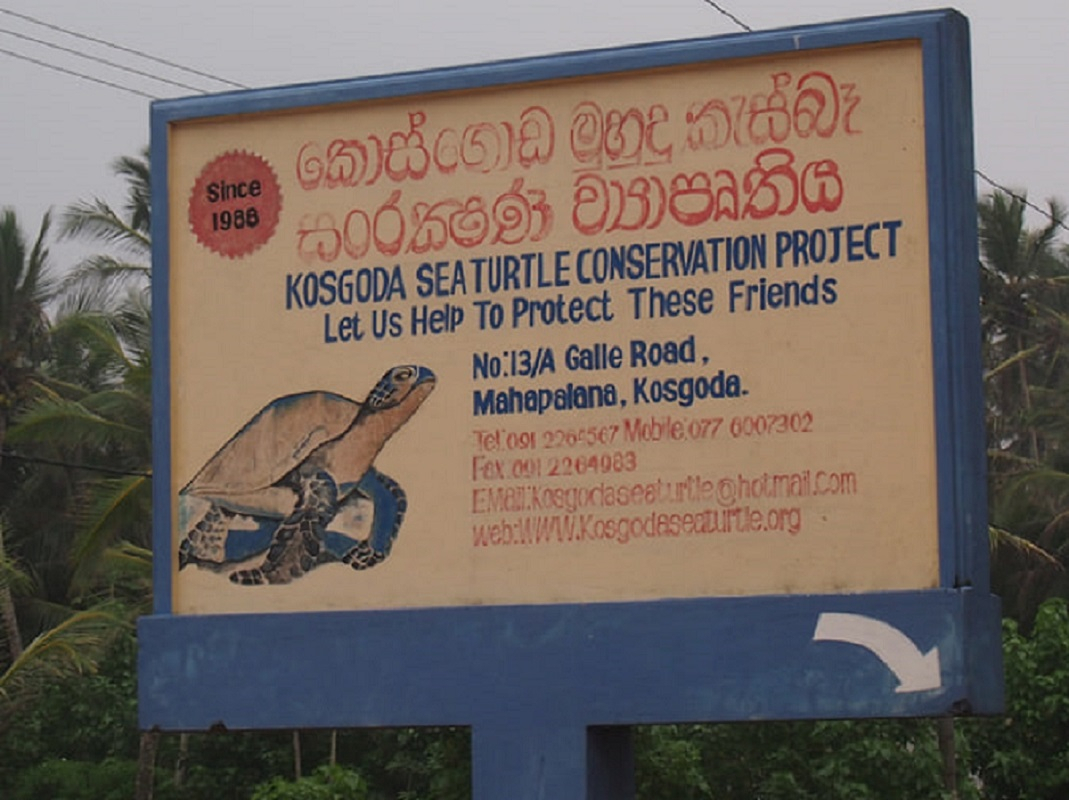 Kosgoda turtle hatchery. Photo from the personal archive of&nbsp;Gennady Cherepanov