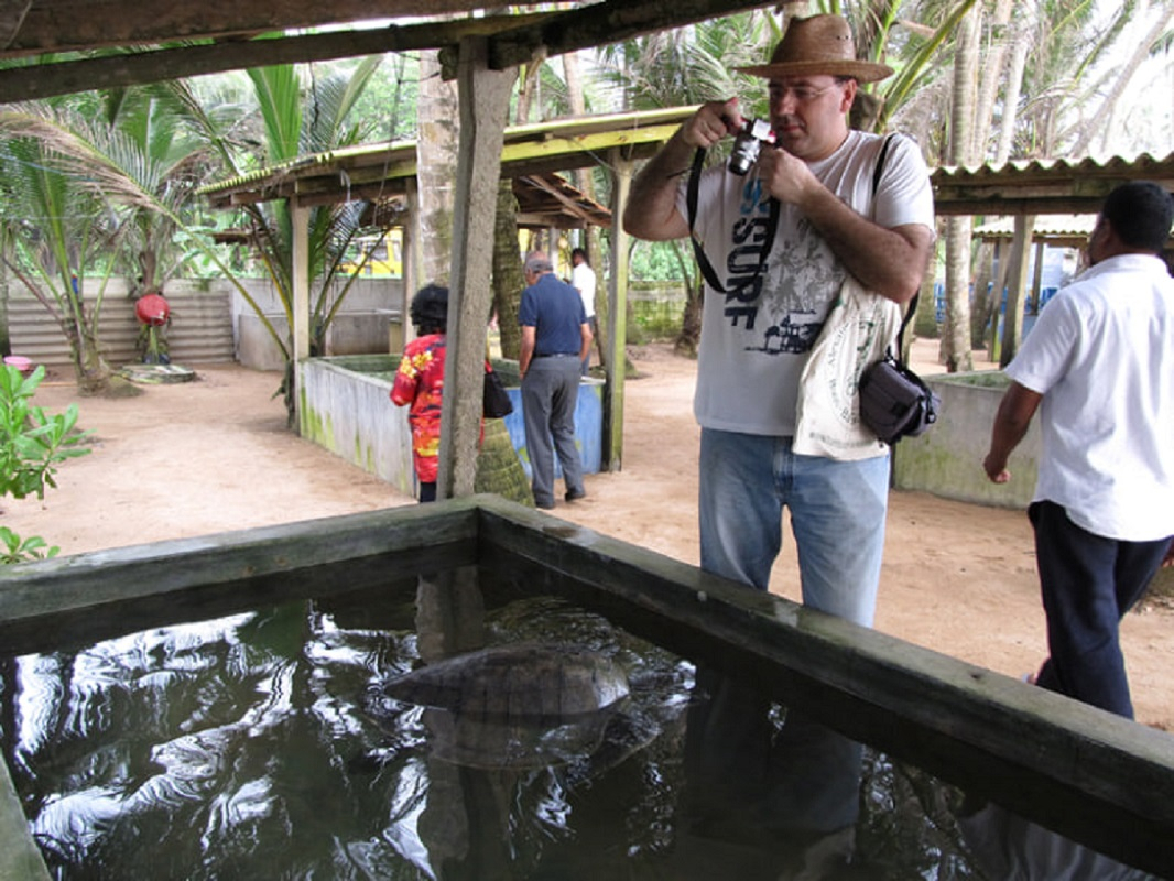 Yegor Malashichev, Associate Professor in&nbsp;the Department of&nbsp;Vertebrate Zoology at&nbsp;St&nbsp;Petersburg University, is&nbsp;photographing large turtles at&nbsp;one of&nbsp;the turtle hatcheries in&nbsp;Sri Lanka. Photo from the personal archive of&nbsp;Gennady Cherepanov