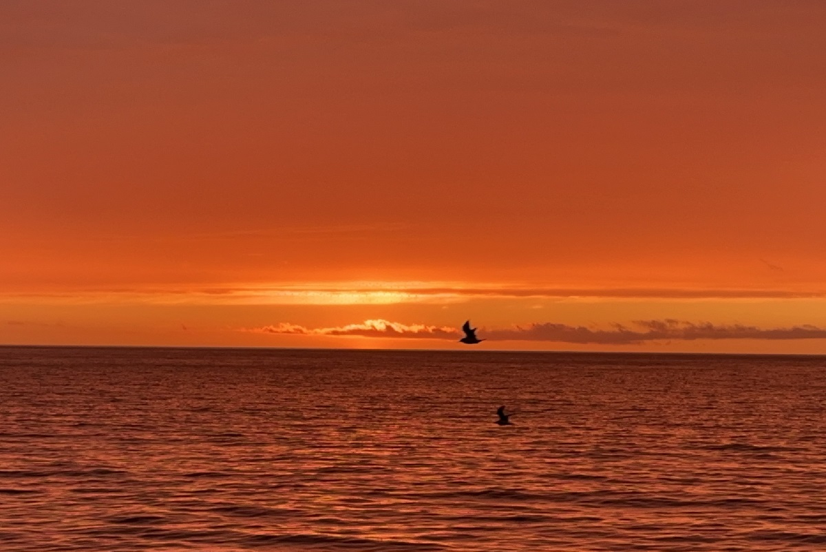 The last sunset in the Barents Sea. Photo by Mariia Biriuk