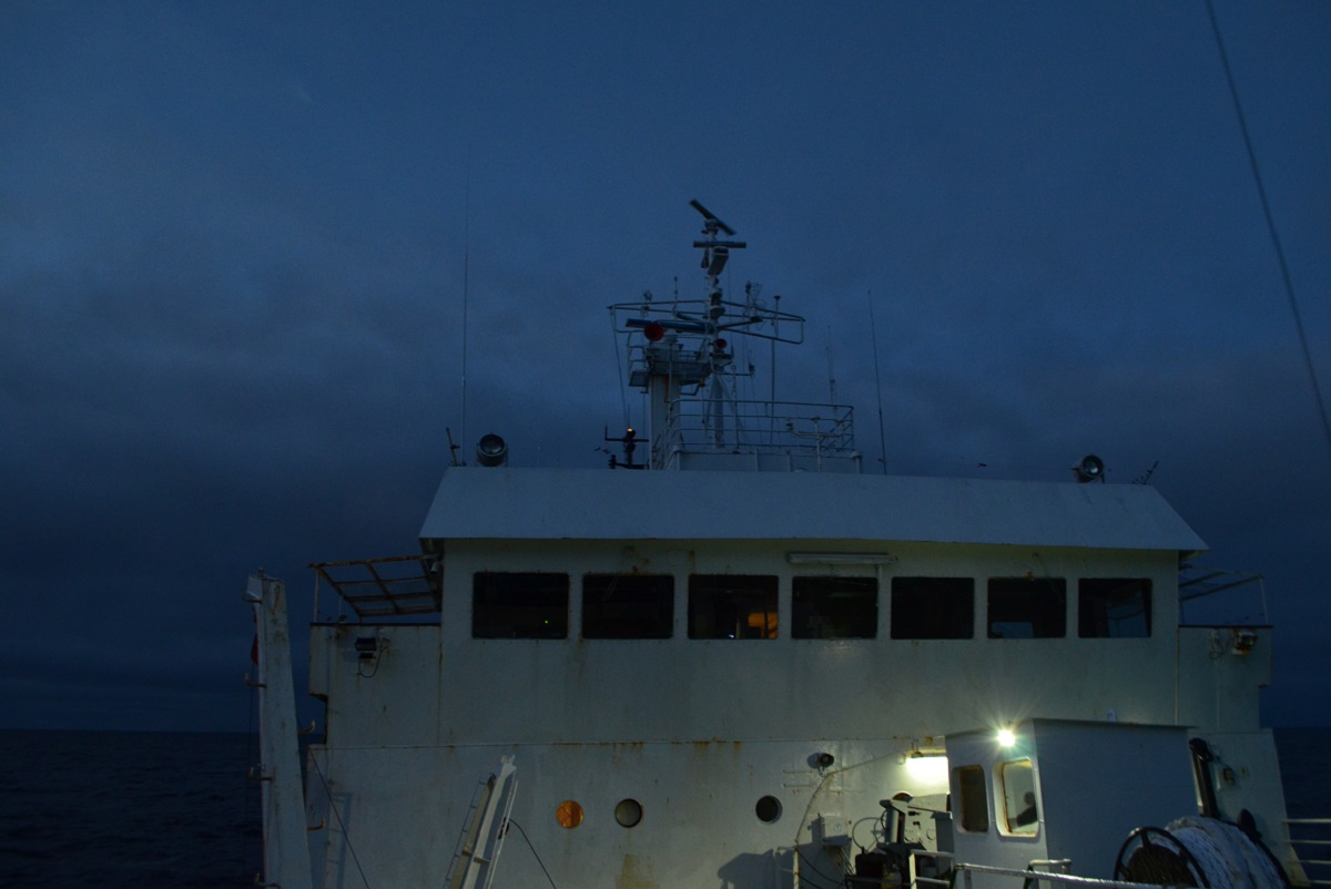 The path between the sampling stations. Photo by Mariia Biriuk