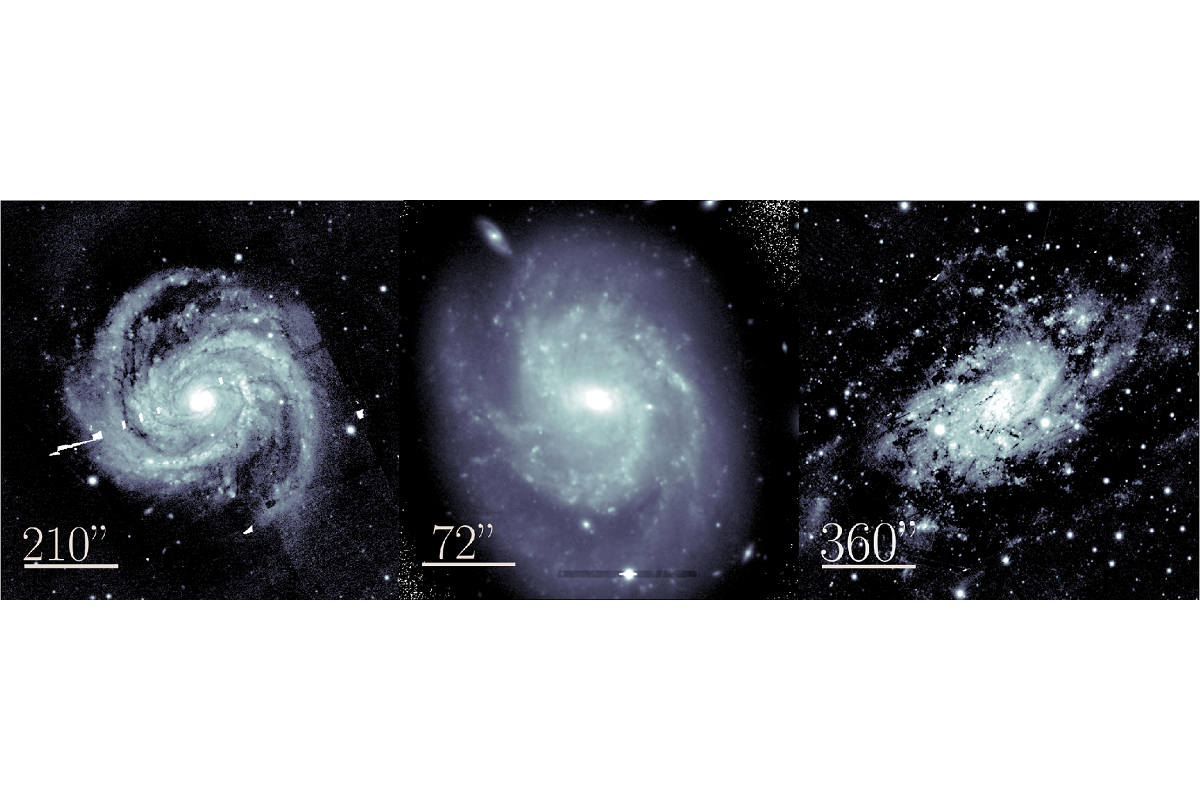 The galaxies studied. From the scientific journal Galaxies