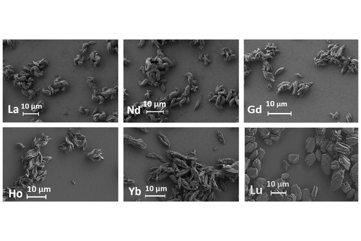 Micrographs of particles of selected lanthanide terephthalates obtained by scanning electron microscopy using equipment at the St Petersburg University Research Park. Courtesy of Andrey Mereshchenko