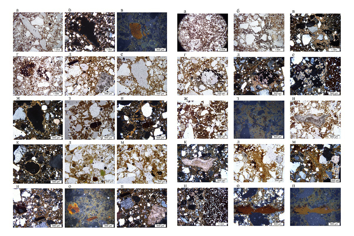 Soil samples from the Hadjoh 2 open-air site © Provided by Aleksey Rusakov